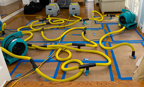 Professional Basement Flood Cleanup technician working in Goleta, CA